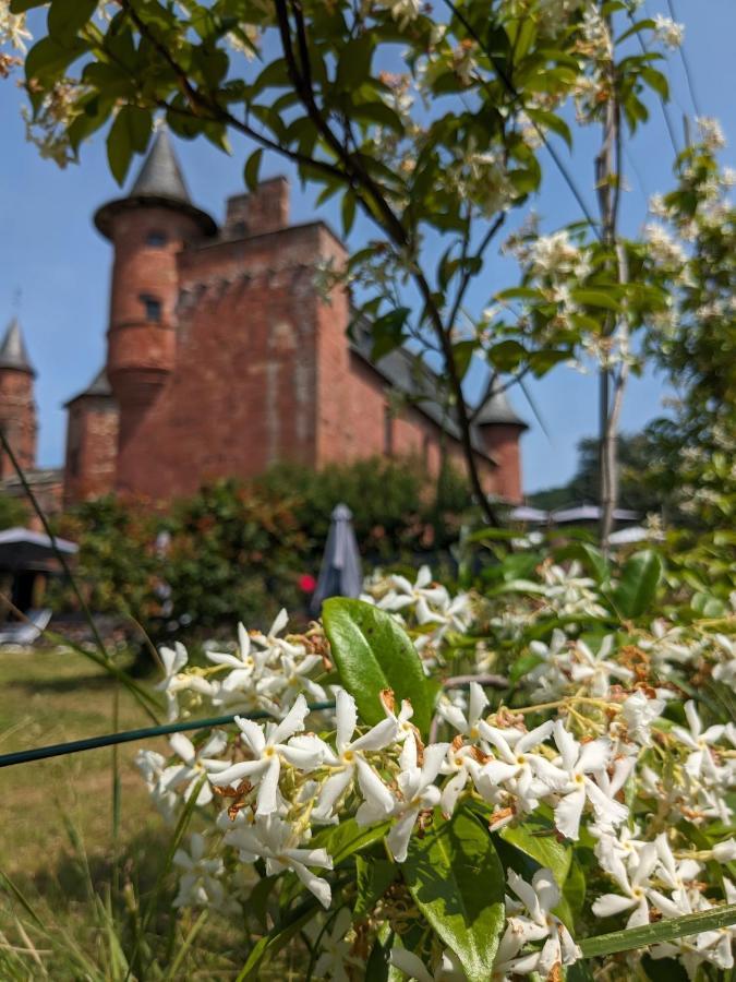 Chateau De Vassinhac Chambres D'Hotes Collonges La Rouge Exterior photo