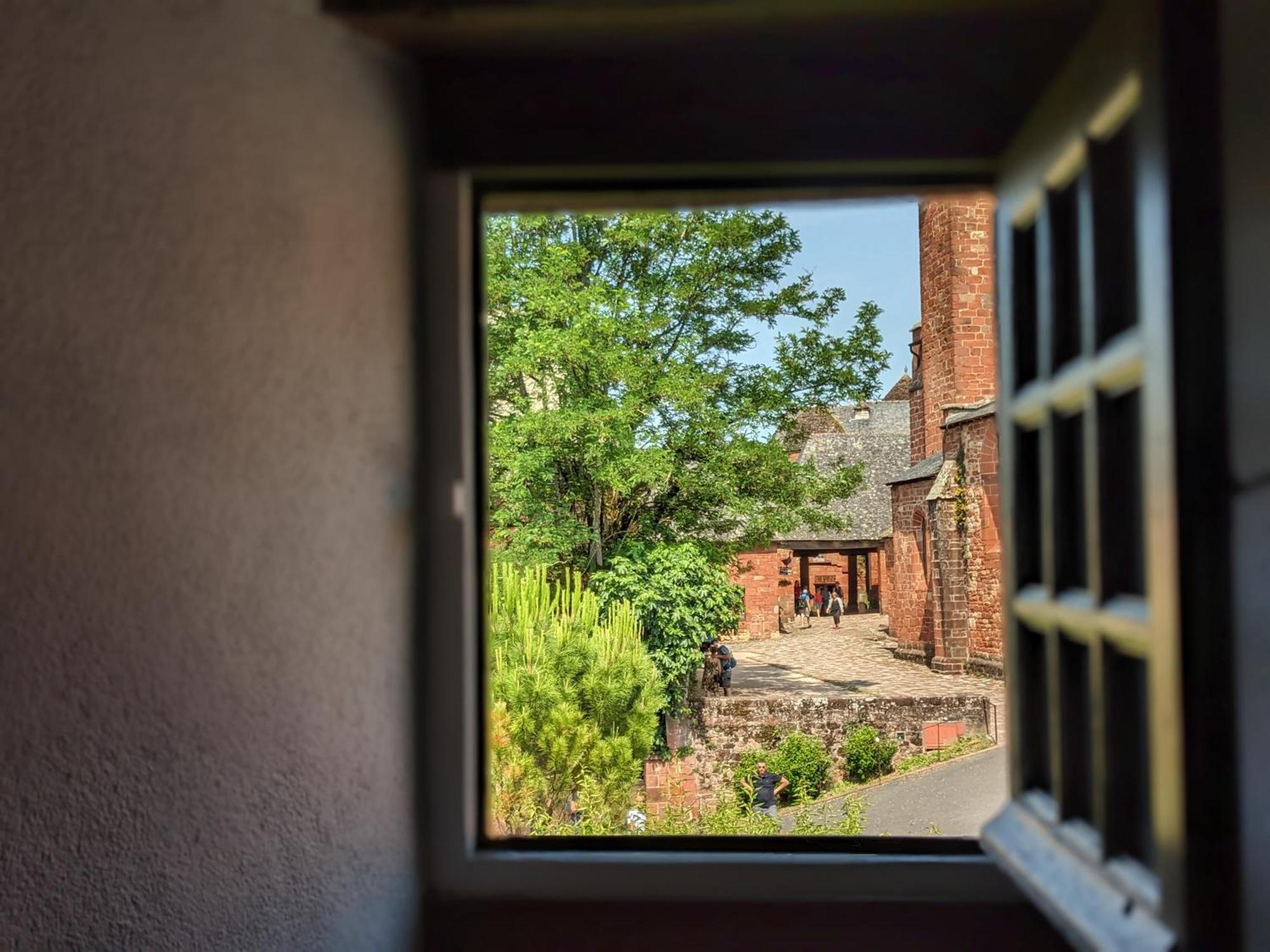 Chateau De Vassinhac Chambres D'Hotes Collonges La Rouge Room photo